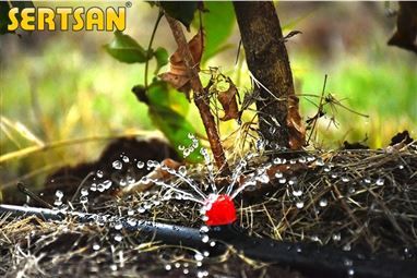 Damla sulamada damlatıcı sayısı ve mesafesi