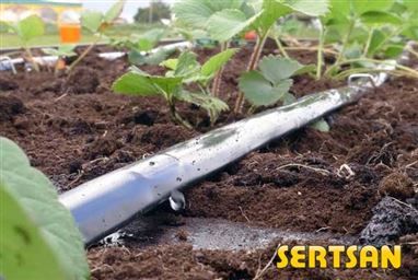 Yassı Damla Sulama Yöntemi ve Tarımsal Verimlilik