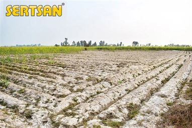 Tuzluluk ve Tarımsal Sulama